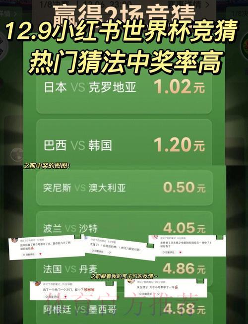 世界杯竞猜背后的数学奥秘：概率计算不可忽视